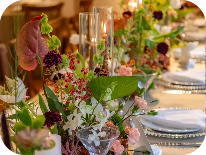 palinka-jardins-do-alto-079